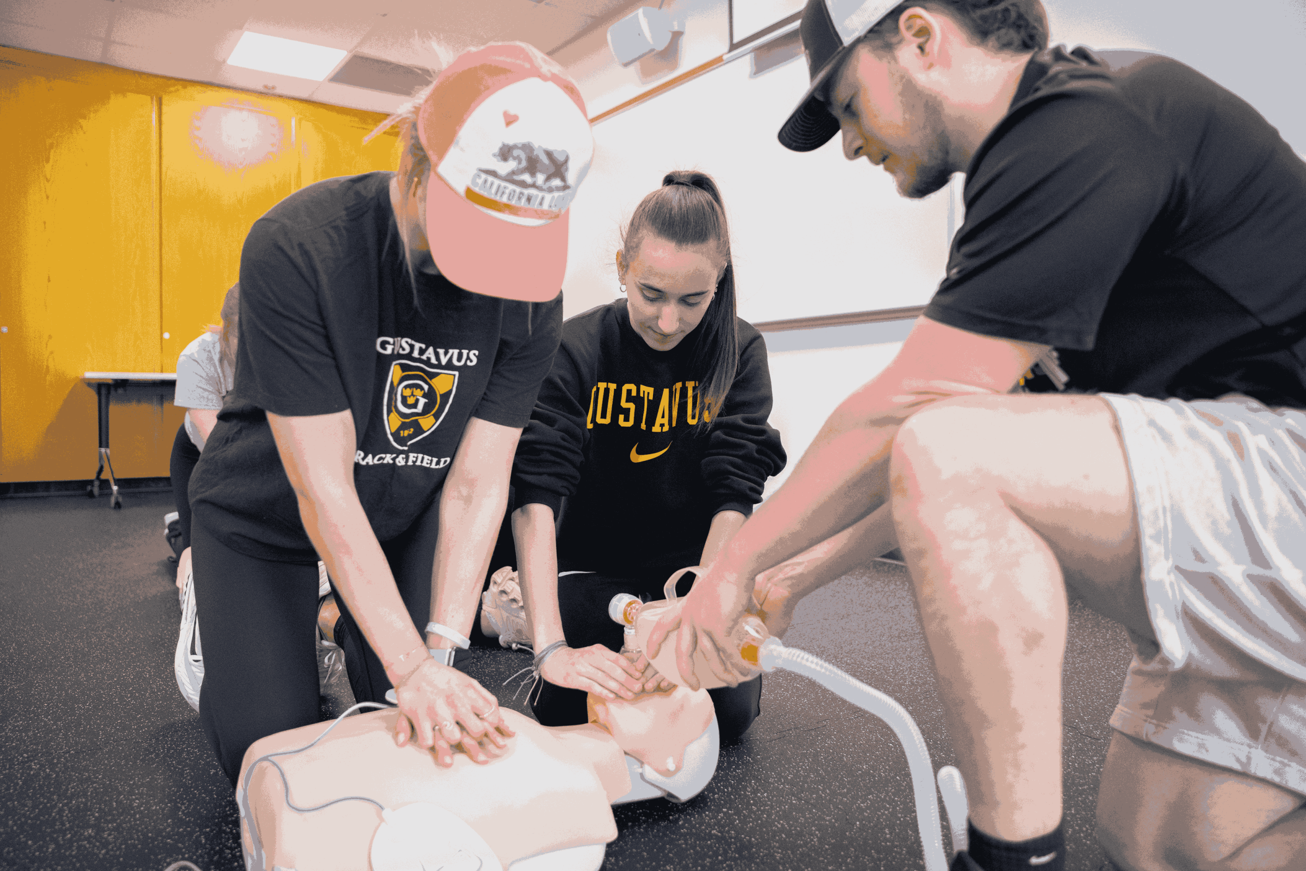 Photo courtesy of: Gustavus Adolphus College